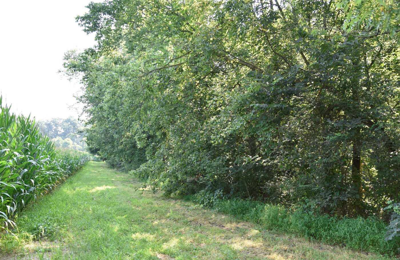 Stream buffer, PA